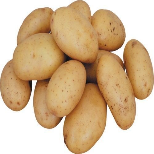 Fresh Jyoti Potato Grade: A