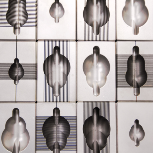 ब्रेन मैट्रिक्स