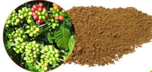 Griffonia Seed Extract - Grade: Food Grade