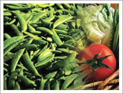 Farm Fresh - Vegetables