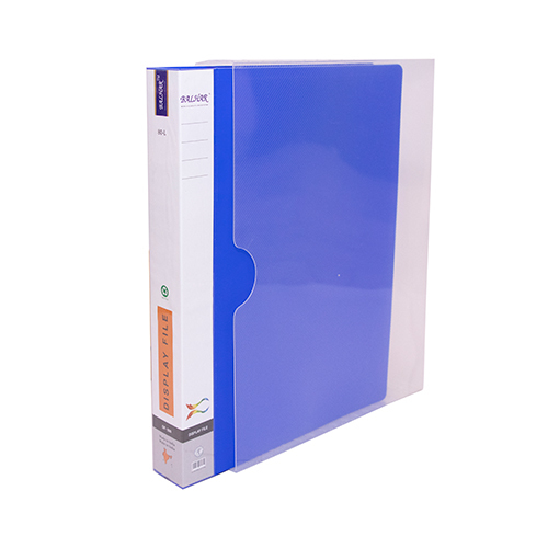 रिंग फाइल