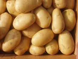 Fresh Pushkar Potato Grade: A