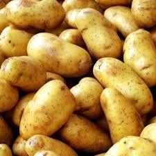 Fresh Pushkar Potato Grade: A