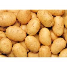 Fresh Badshah Potato Grade: Export Quality