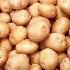 Fresh Badshah Potato Grade: Export Quality