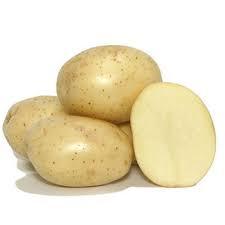 Fresh Badshah Potato Grade: Export Quality