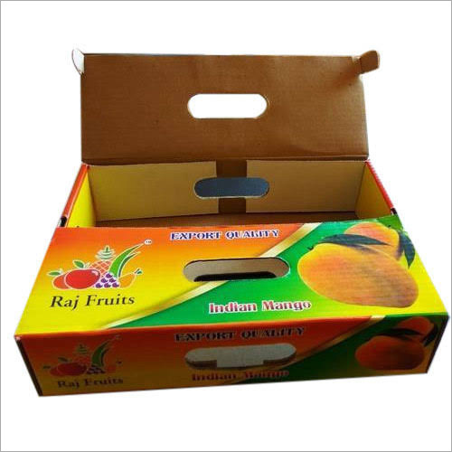 Carton Packaging Box