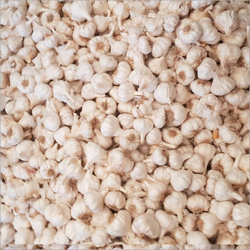 Fresh Garlic - Bulb, Various Sizes, White Color | Strong Aroma, Pungent Taste, Antioxidant, Flavorful, Fresh, Immune Booster, Low Calories, Nutrient-rich, Versatile