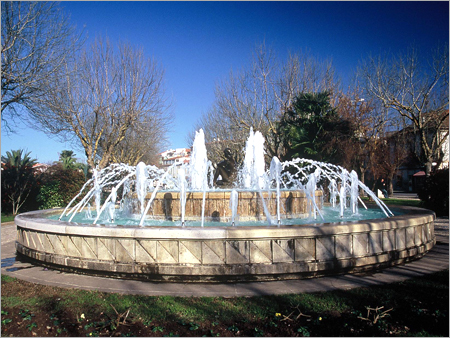 फोम जेट रिंग