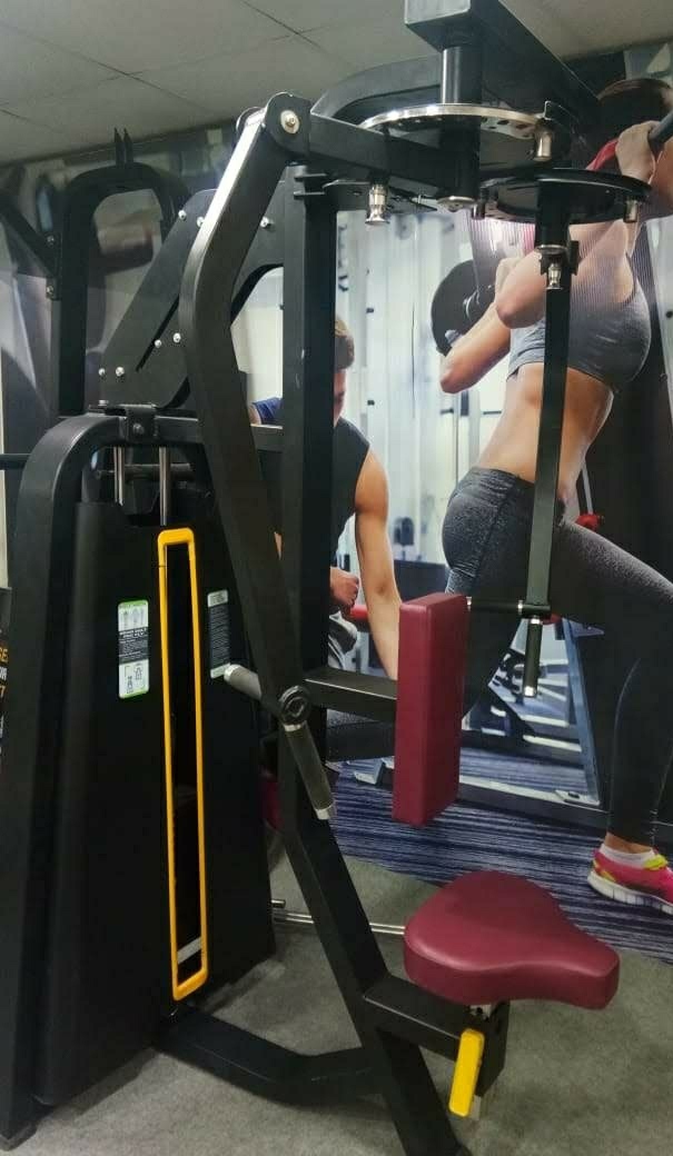 Rear Delt Fly Machine Application: Gain Strength