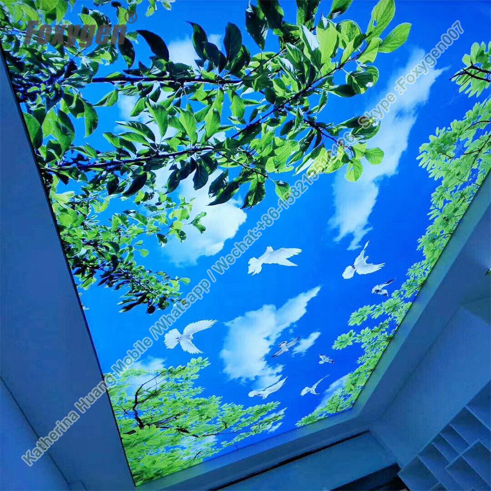 Fireproof B1 Leave Translucent Pvc Stretch Ceiling Film Density: 300 Gram Per Cubic Meter (G/m3)