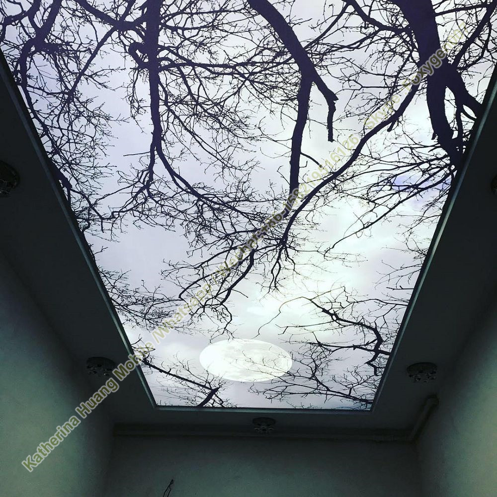 Fireproof B1 Leave Translucent Pvc Stretch Ceiling Film Density: 300 Gram Per Cubic Meter (G/m3)