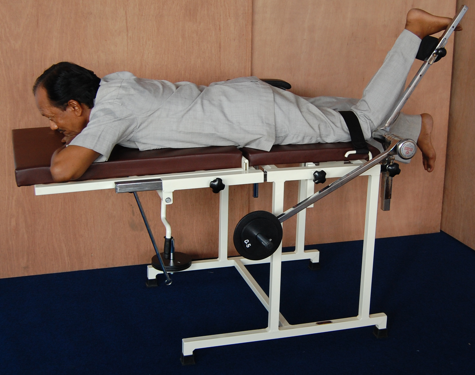 Quadriceps Exercise Table With Backrest Age Group: Adults