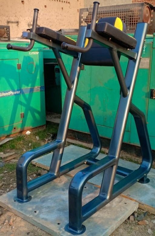 Bar Dips Machine Application: Gain Strength