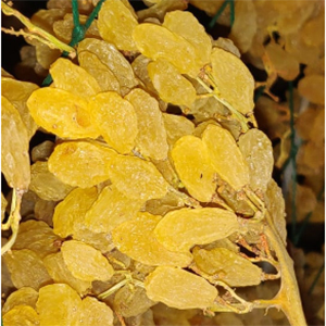 Dry Grapes - Common Cultivation Type, Naturally Dried for Enhanced Flavor and Nutritional Benefits