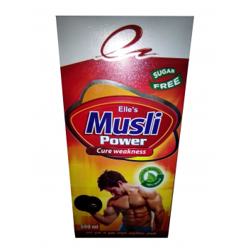 मुस्लिम पावर