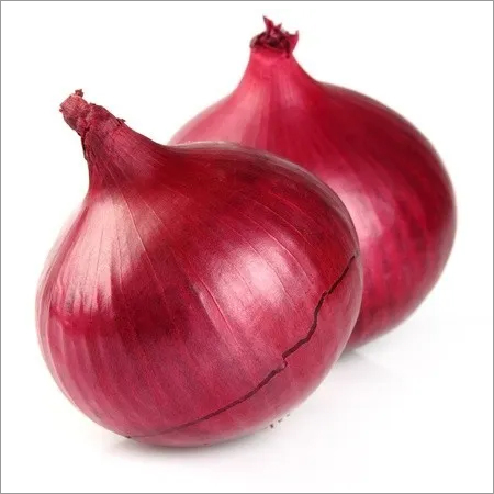 लाल प्याज की नमी (%): 99%