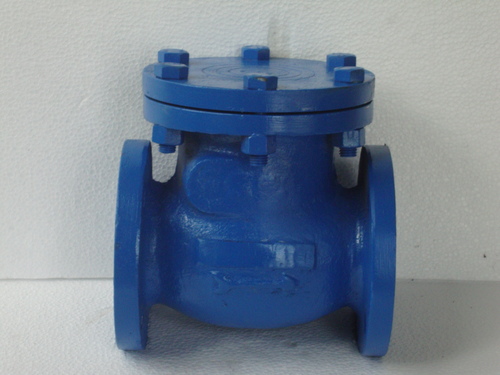 Non Return Valve Reflux Type