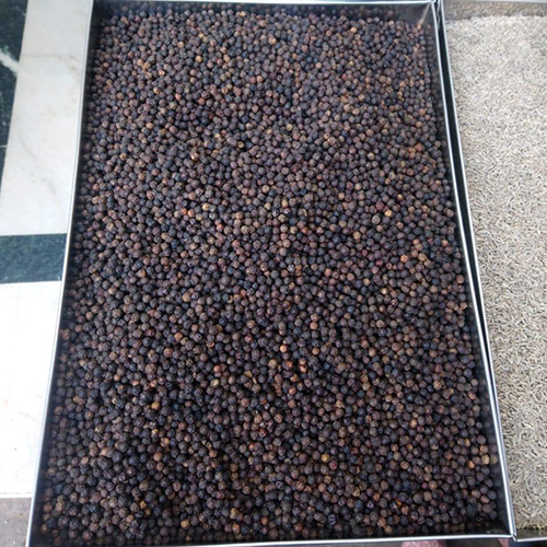 Black Pepper