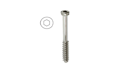 लॉकिंग हेड स्क्रू