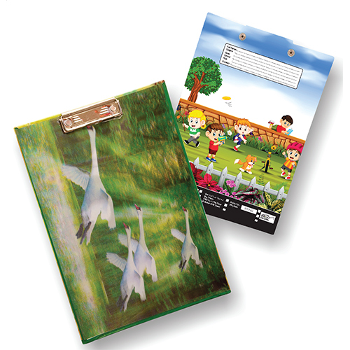Diamond Exam Clip Board - Color: Multicolor