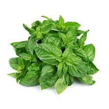 Basil Leaves - Fresh, Aromatic, Nutrient-rich Culinary Herb | Ideal For Salads, Rich In Estragole And Linalool