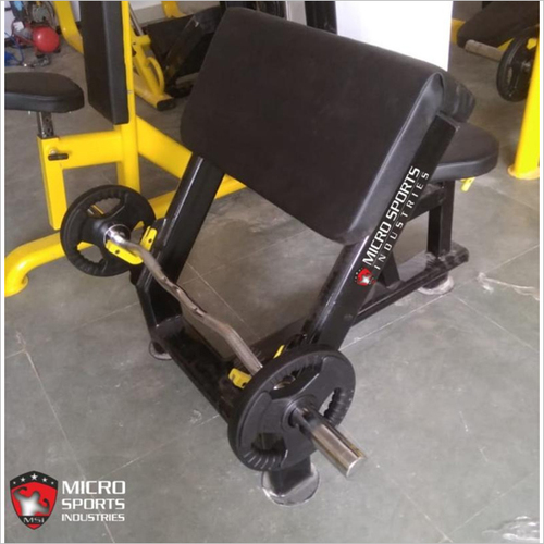 Olympic Preacher Curl Gym Bench