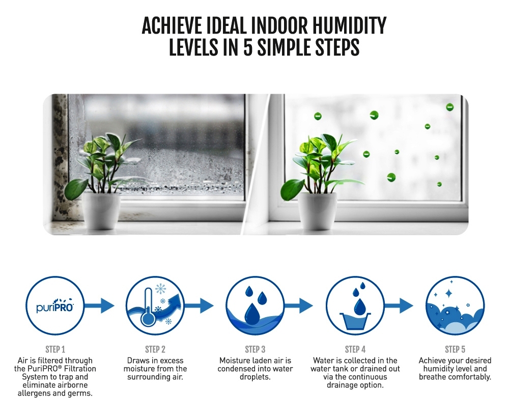 Portable Heavy Duty Dehumidifier With Carbon Filter Capacity: 35 Liter/day
