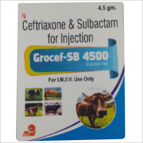 Ceftriaxone & Sulbactam Injection