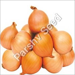 Organic Desi Onion Seed