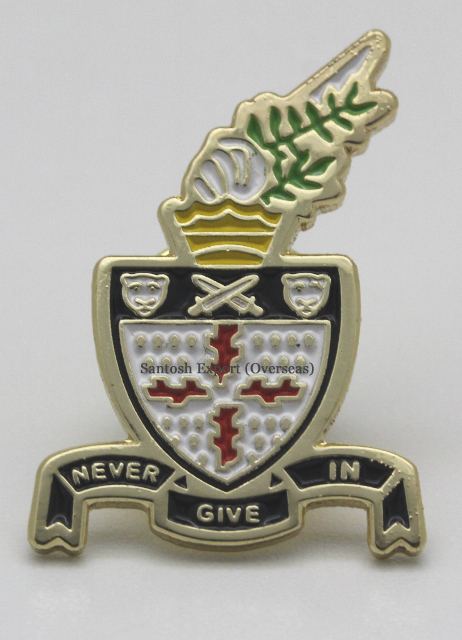 Pantone Coated Hard Enamel Lapel Pin