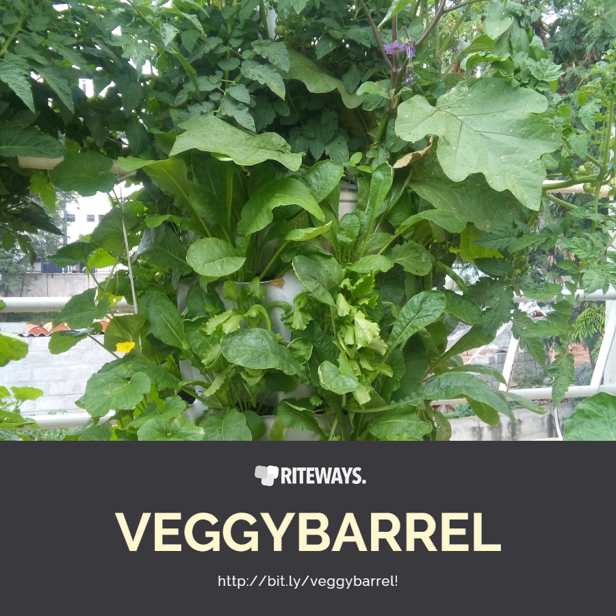 Grey Balcony Vegetable Garden Planter