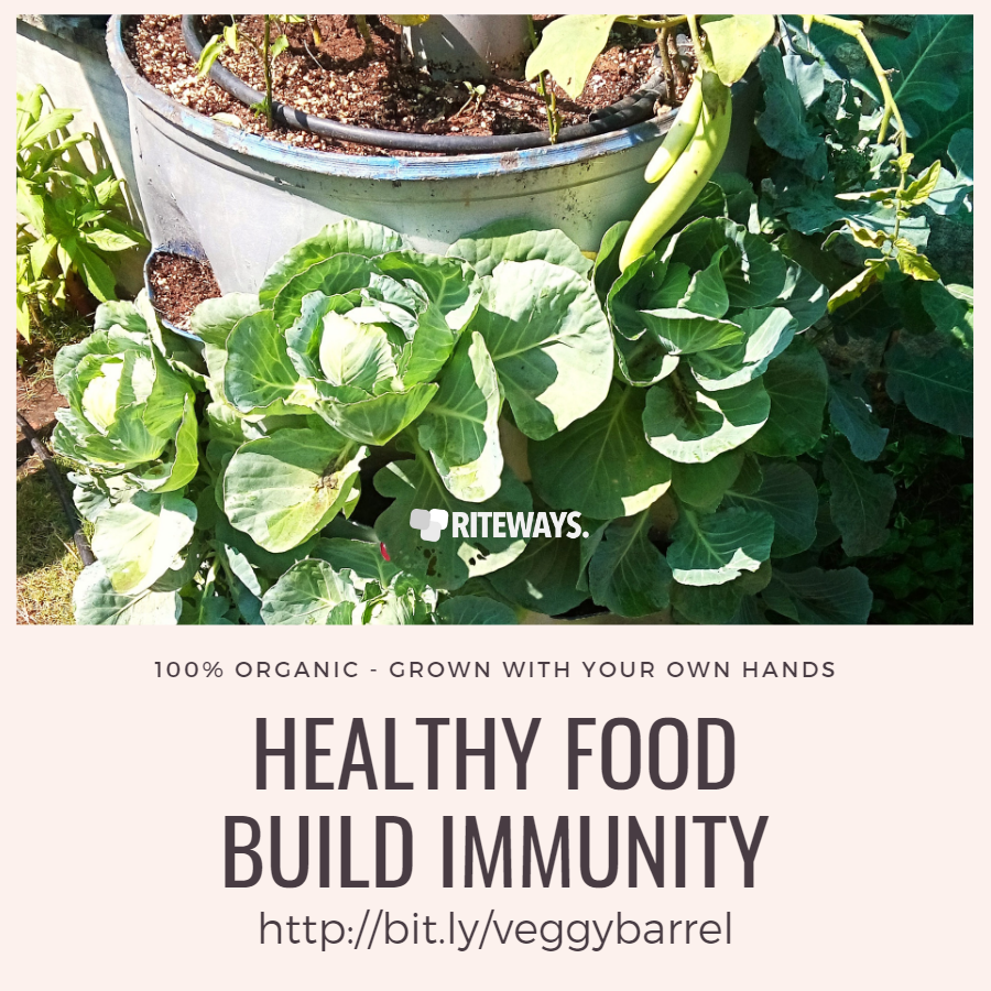 Grey Balcony Vegetable Garden Planter