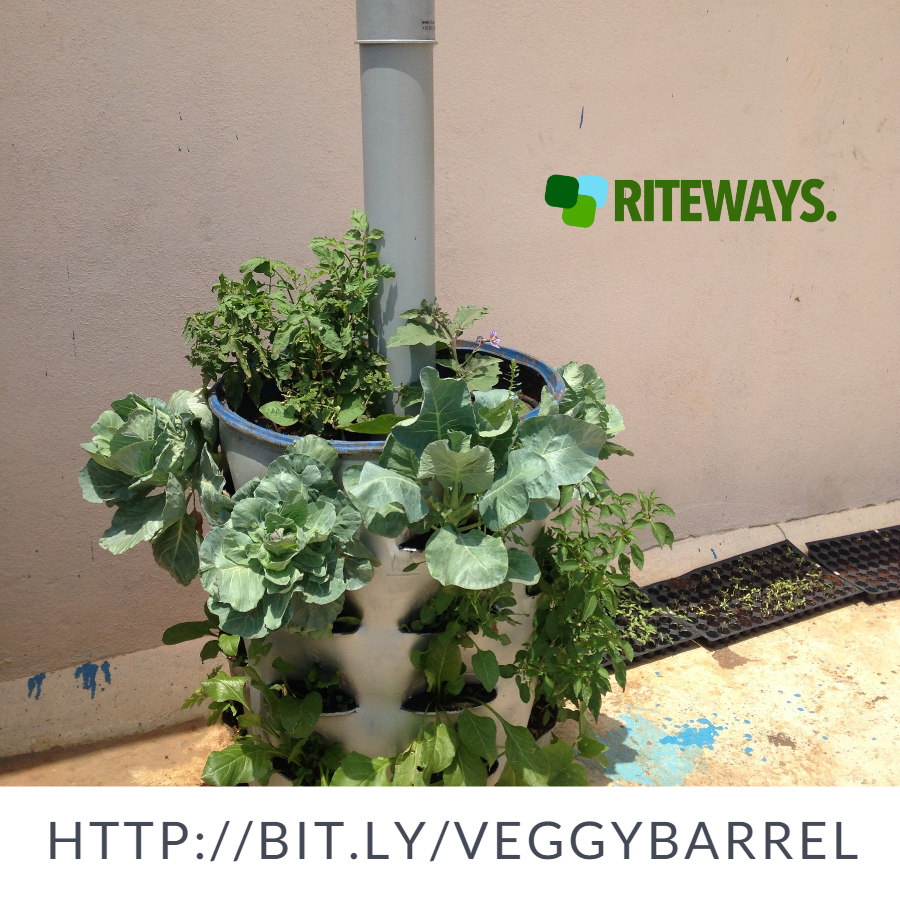 Grey Balcony Vegetable Garden Planter