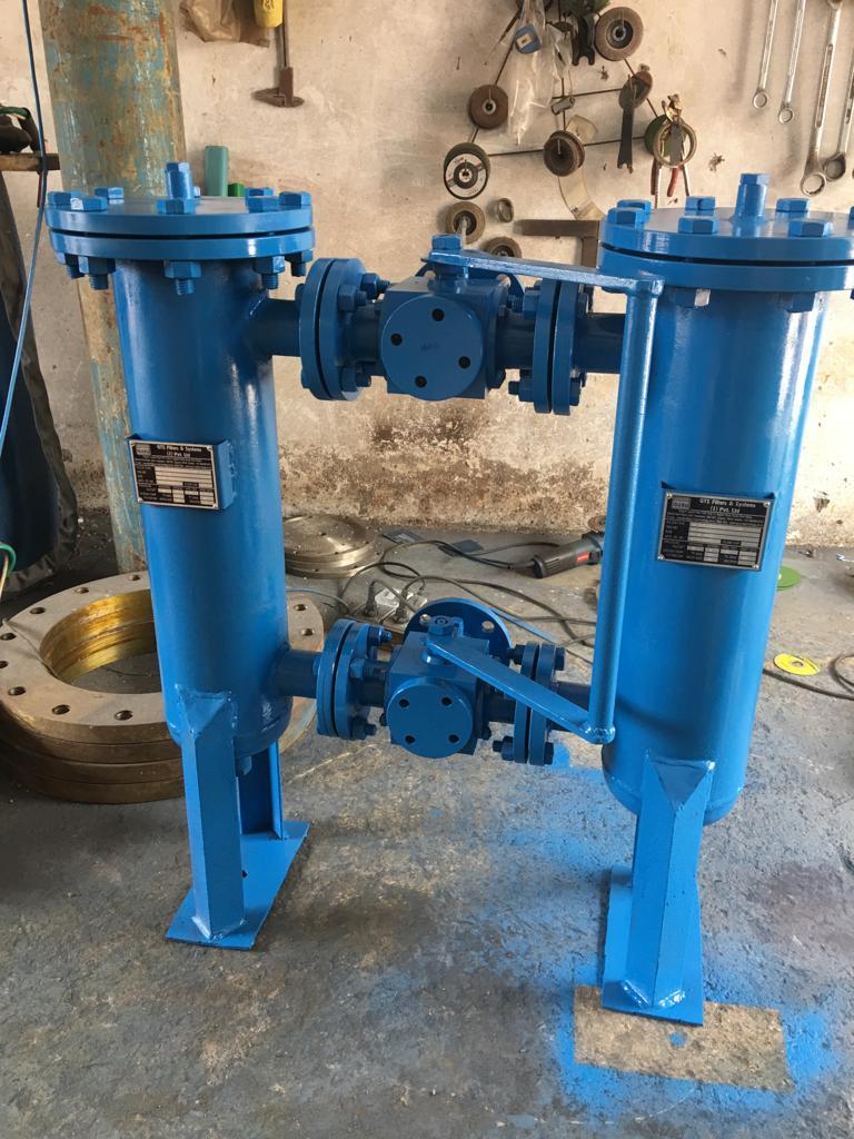 Customized Duplex Strainers