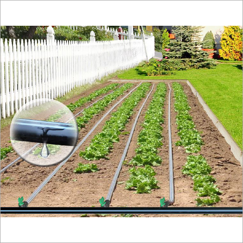 Garden Drip Irrigation