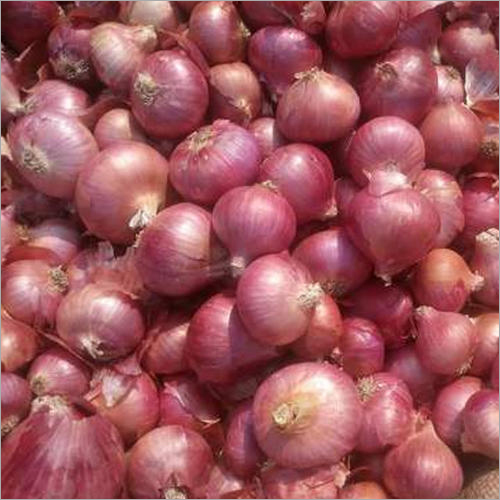 Small Onion - A Grade Quality, 10-50 Kg Packaging | Nutrient-rich, Low-calorie, Mild Flavor, Naturally Red