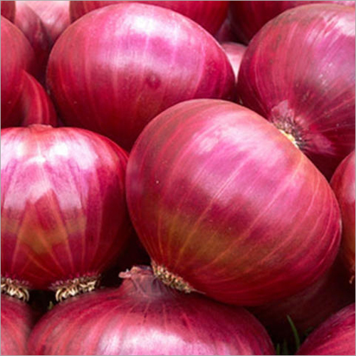 Small Onion - A Grade Quality, 10-50 Kg Packaging | Nutrient-rich, Low-calorie, Mild Flavor, Naturally Red