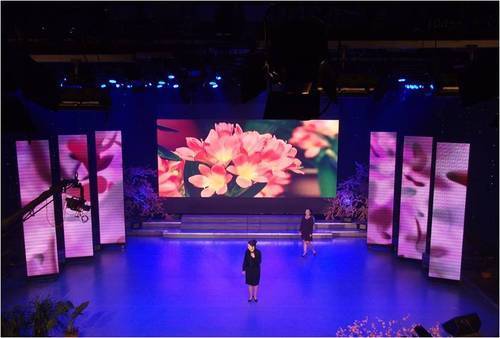 Indoor Led Screen - Application: Advertisements