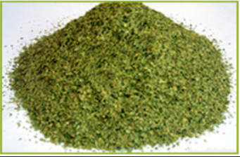 Senna Leaves - Export Quality Whole Natural Green Pinnate Leaflets 25kg Weight 2-year Shelf Life - Cool & Dry Storage Elongated Shape Natural Taste
