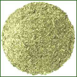 Senna Leaves - Export Quality Whole Natural Green Pinnate Leaflets 25kg Weight 2-year Shelf Life - Cool & Dry Storage Elongated Shape Natural Taste