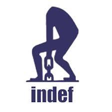 Indef M Chain Pulley Block - Attributes: Strong
