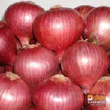 Red Onion Moisture (%): 99%