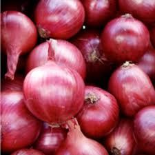 Red Onion Moisture (%): 99%