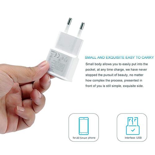 Ptron 2a Mobile Charger For Mobile Phones With Micro Usb Cable - Abs Material, White Color | Detachable Micro Usb Cable Included, Low Energy Consumption
