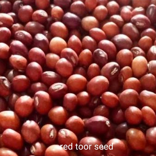 Red Toor Seed