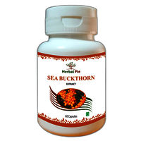 Sea Buckthorn Extract Capsules
