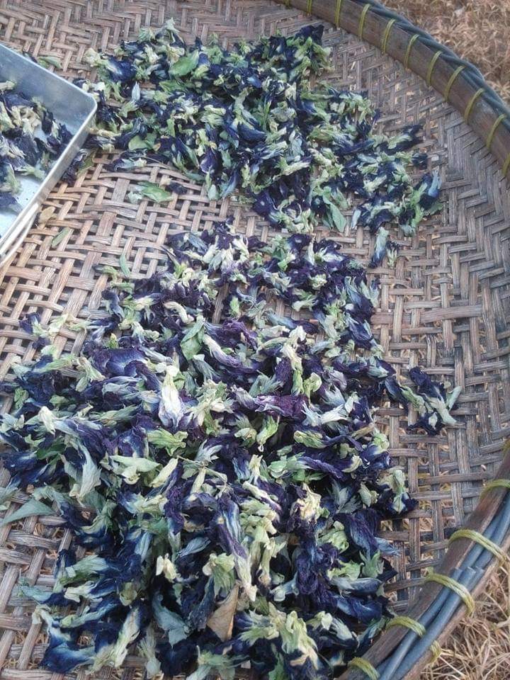 Butterfly Pea Dried