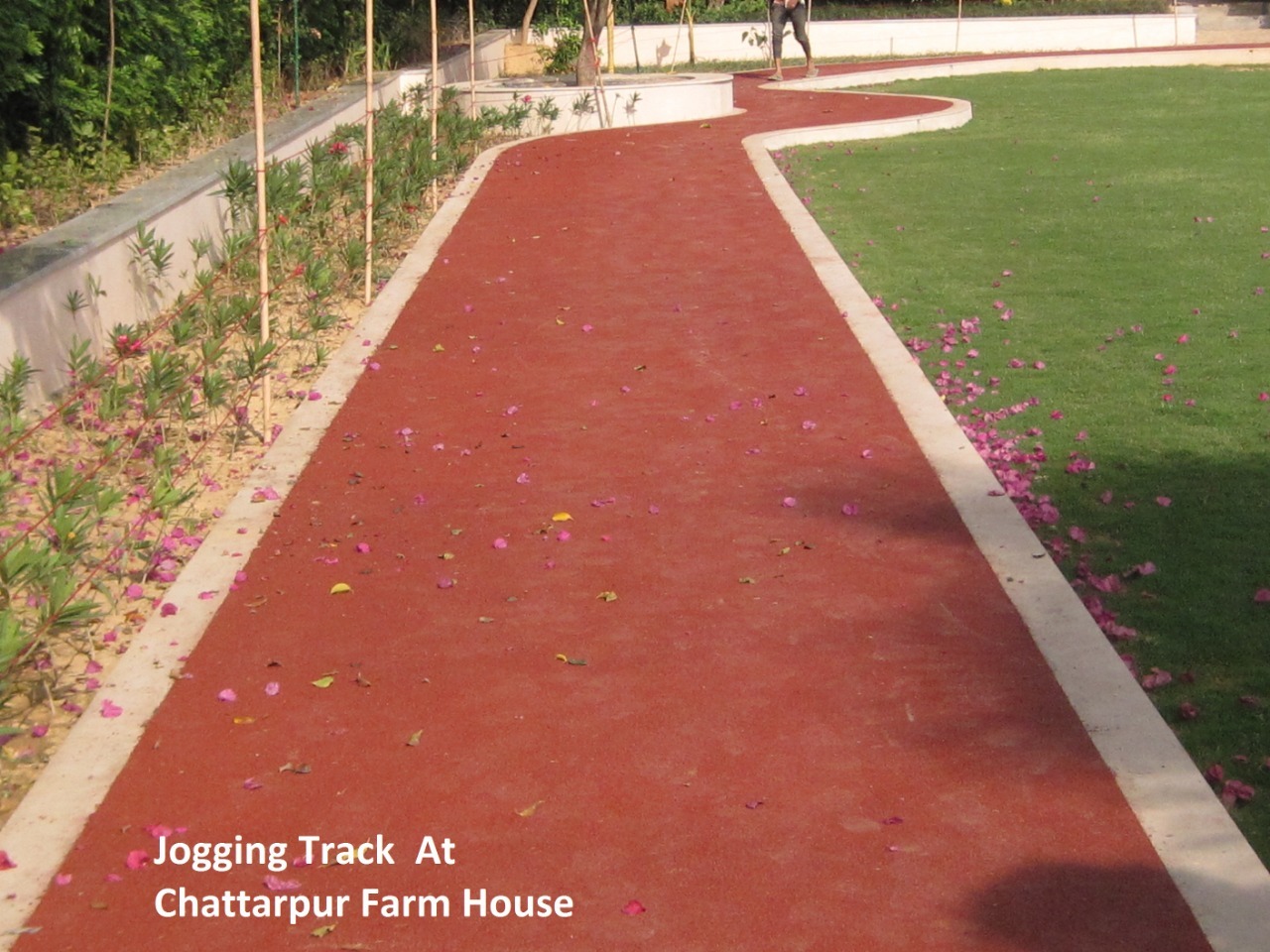 Terracota Red Moldo Eccofast Tracks