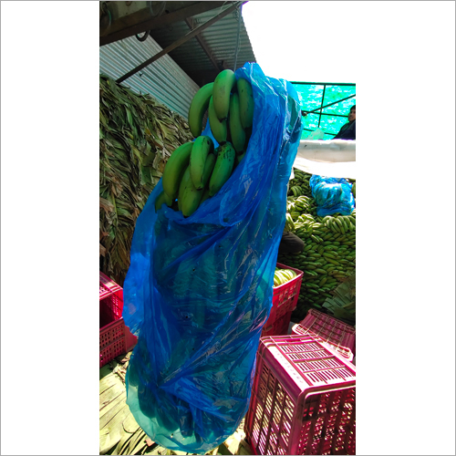 Raw Banana - 8-9.5 Inch, 35-39 Mm Thickness | Organic, Green, Whole, High Fiber, Low Glycemic Index 30, Sweet Taste